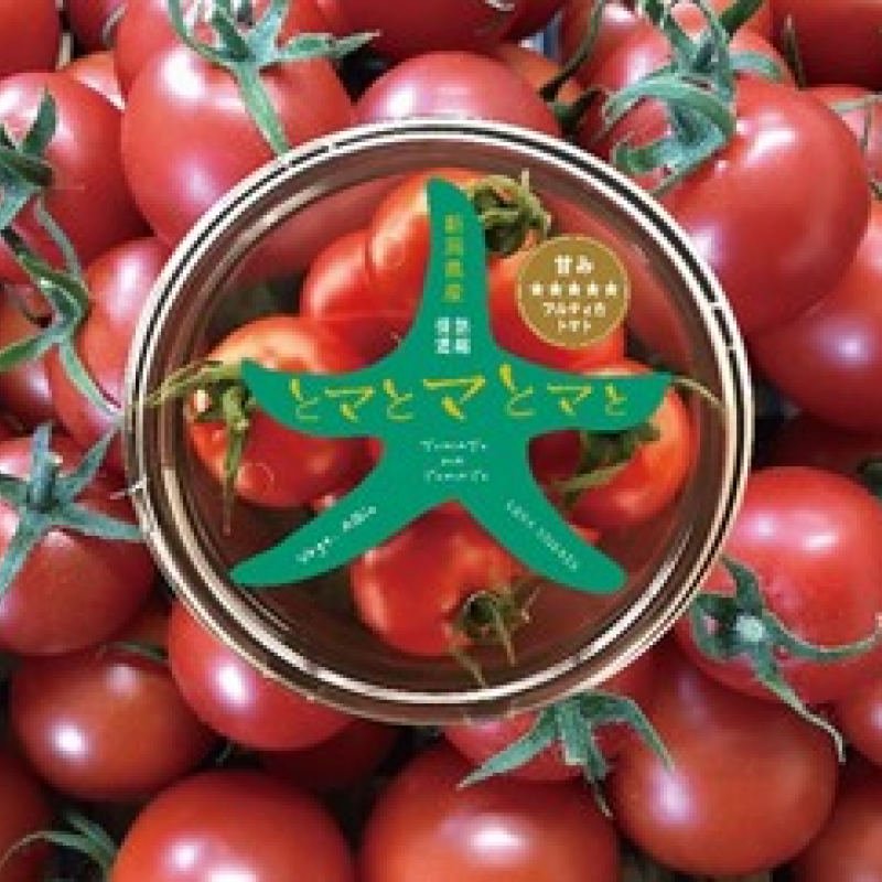 トマト収穫体験イベントを開始～収穫体験を通じて食・農の学びも提供～